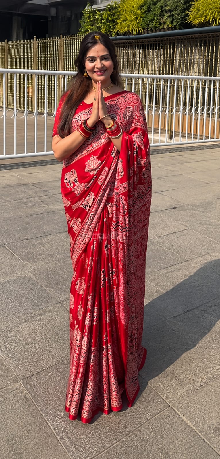 Ajrakh Mirror Saree with Elephant Theme Blouse