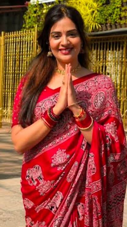 Ajrakh Mirror Saree with Elephant Theme Blouse - Red