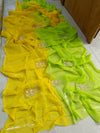 Dual Colour Chiffon Handwork sarees