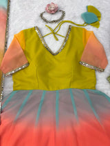 Anarkali with Multi colours