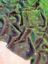 Space silk sequence butti