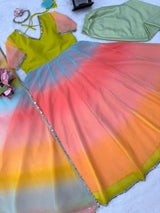 Anarkali with Multi colours