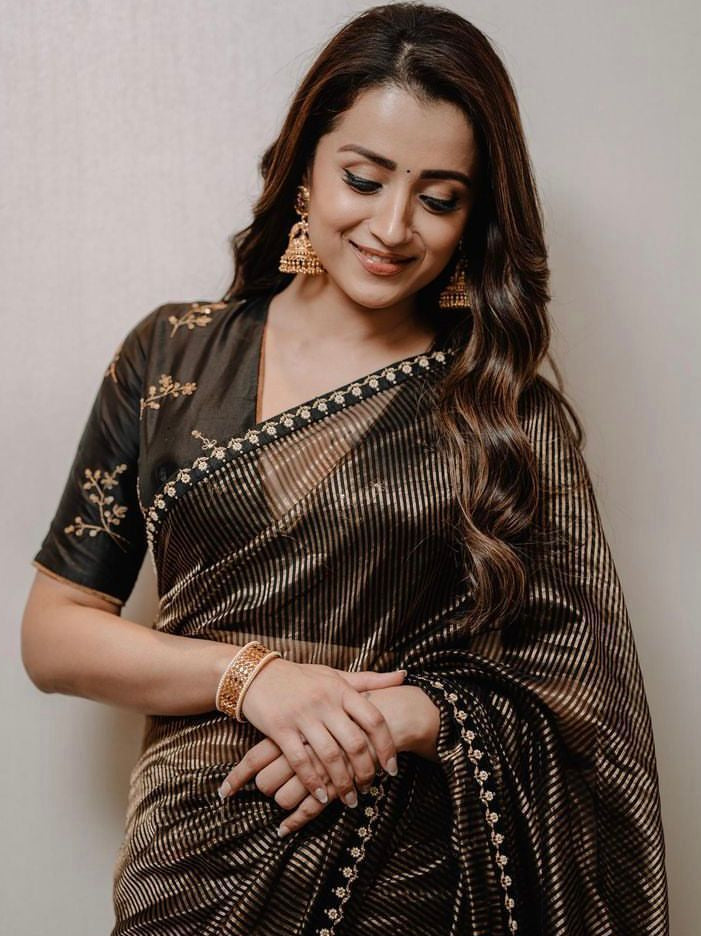 Trisha inspired saree
