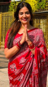 Ajrakh Mirror Saree with Elephant Theme Blouse - Red