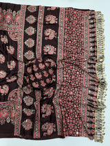 Ajrakh Mirror Saree with Mirror Patta