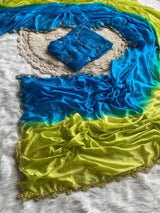 Chinnon dual shade sarees