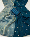 Space silk satin 2 shade sarees