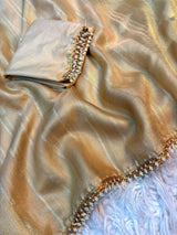 Tissue organza saree