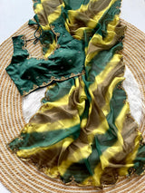 Tebby organza handwork saree